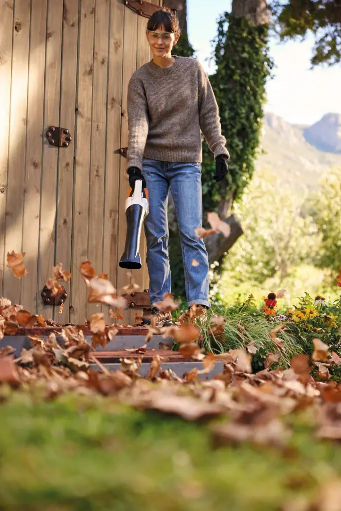 img (7).webp