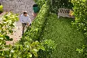 img (10).webp