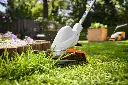 img (26).webp