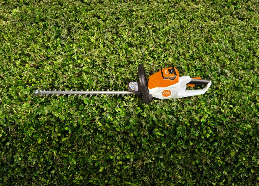 img (58).webp