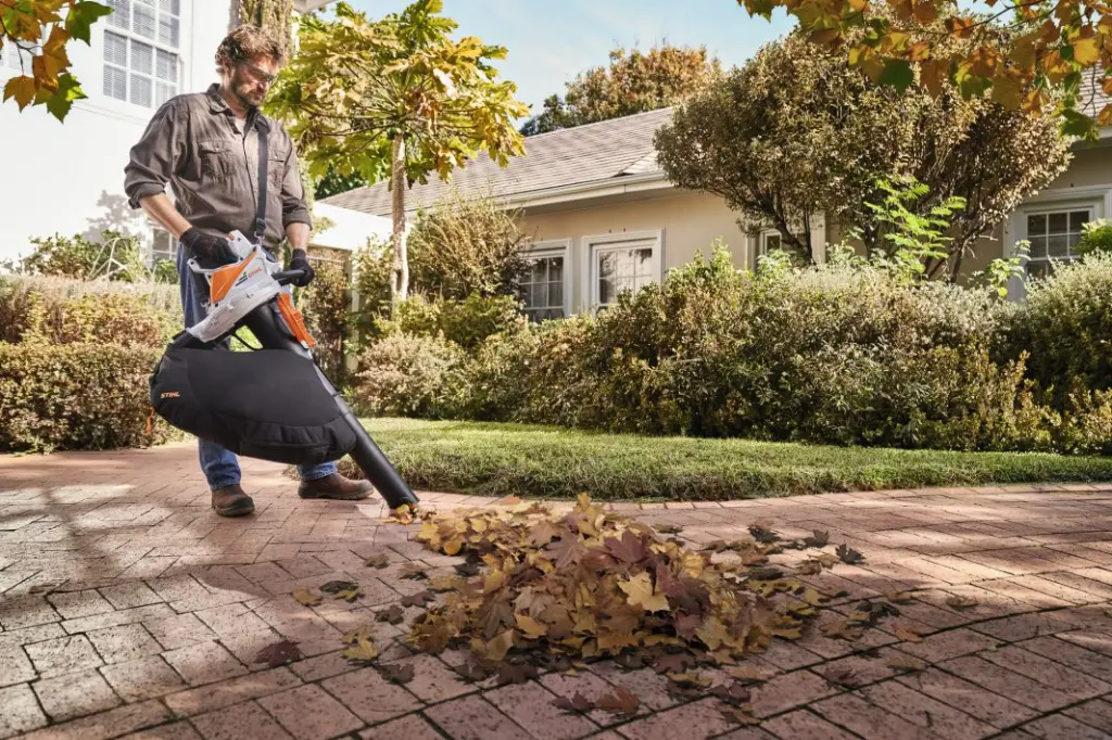 img (26).webp