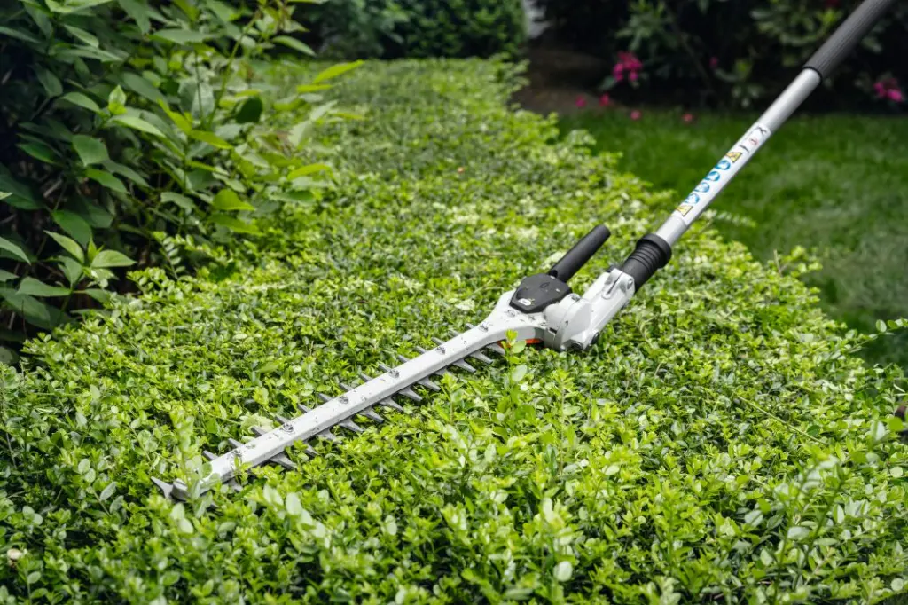img (15).webp
