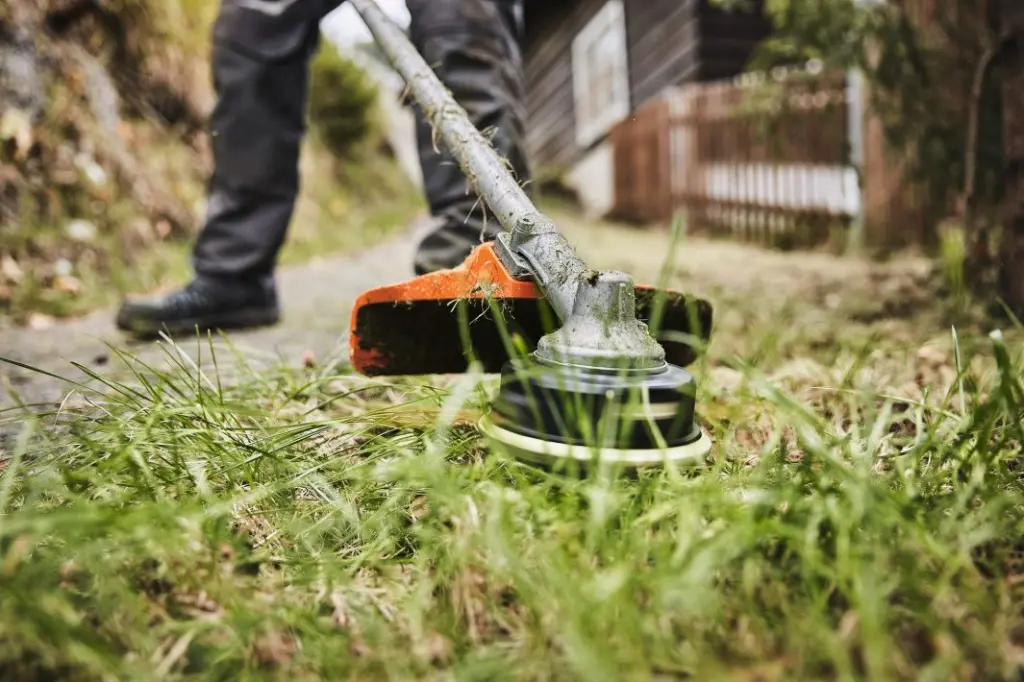 img (22).webp