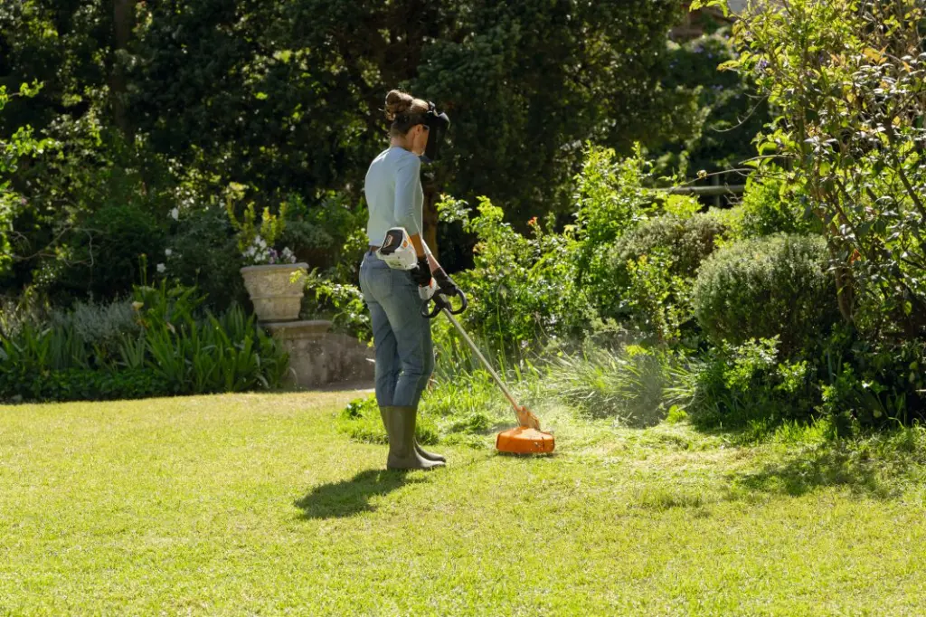 img (35).webp