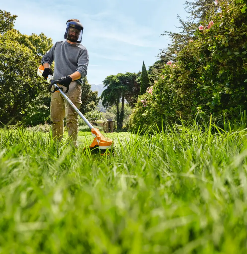 img (39).webp