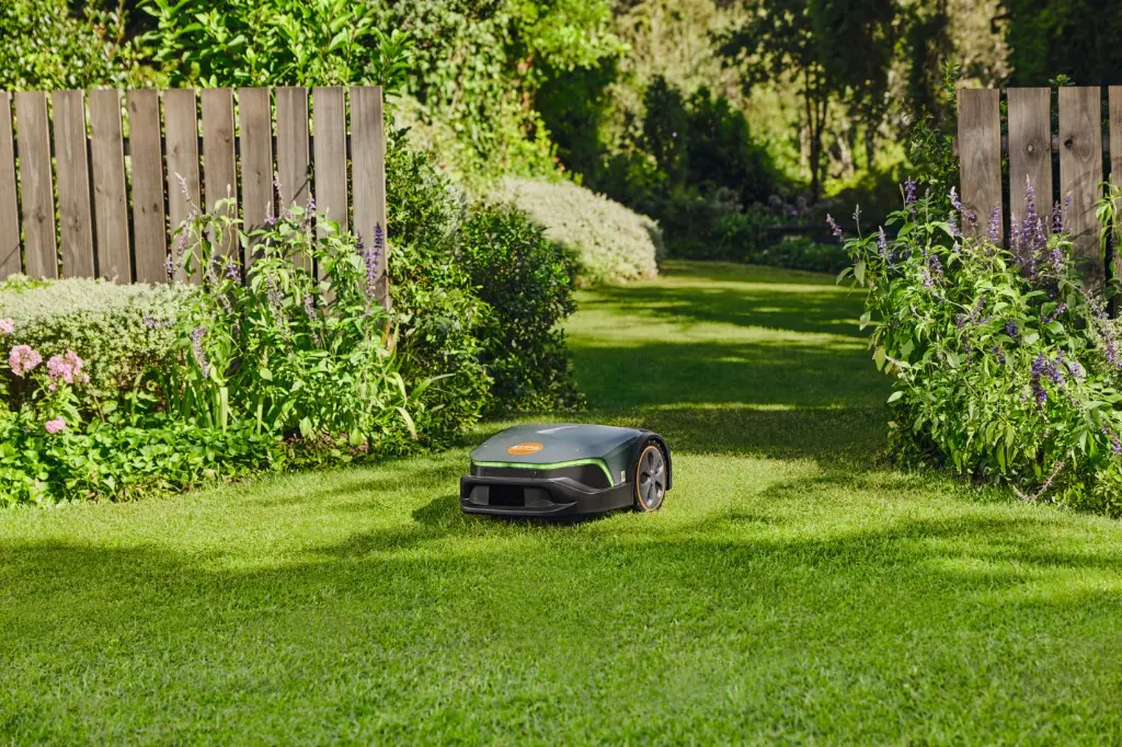 img (27).webp