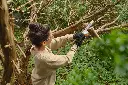 img (32).webp