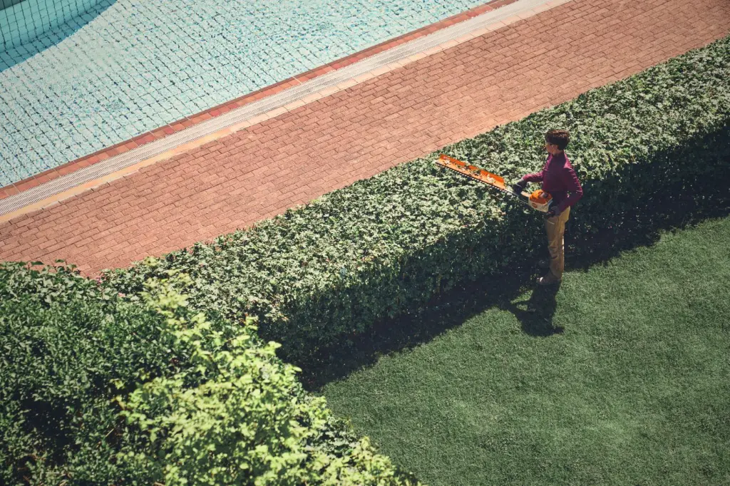 img (38).webp