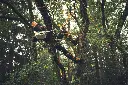 img (53).webp