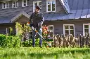 img (60).webp